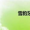 雪豹牙膏怎么样（雪豹牙膏）