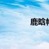 鹿晗帽子run（鹿晗的帽子）