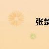 张楚怎么啦（张楚 吸毒）