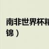 南非世界杯精彩进球集锦（南非世界杯进球集锦）