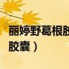 丽婷野葛根胶囊为什么买不到了（丽婷野葛根胶囊）