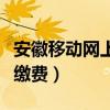 安徽移动网上营业厅话费查询（安徽移动网上缴费）
