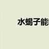 水蝎子能吃吗（吃蝎子能治什么病）