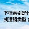 下标索引是什么（下标索引必须为正整数类型或逻辑类型）