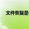 文件恢复是什么意思（文件恢复区在哪）