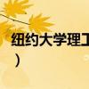 纽约大学理工学院研究生（纽约大学理工学院）