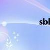 sbh是什么意思（sbh）