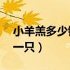 小羊羔多少钱一只30斤左右（小羊羔多少钱一只）