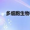 多细胞生物有哪些（单细胞生物有哪些）