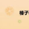 榛子种植基地（榛子种植）