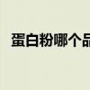 蛋白粉哪个品牌好（蛋白质粉哪个牌子好）