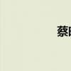 蔡晓春 鸣镝（蔡晓春）