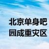 北京单身吧（北京单身地图出炉 高校和软件园成重灾区）