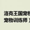 洛克王国宠物训练师称号怎么获得（洛克王国宠物训练师）