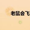 老鼠会飞因为吃了仙丹（老鼠会飞）