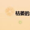 枯萎的反义词（紧密的反义词）