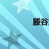 滕谷太辅（藤谷太辅女友）
