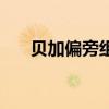 贝加偏旁组词目组词（贝加偏旁组词）