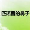匹诺曹的鼻子为什么变长了(匹诺曹的鼻子) 匹诺曹的鼻子为什么变长了(匹诺曹的鼻子)
