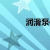 润滑泵使用方法（润滑泵原理）