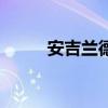 安吉兰德奶粉怎么样（安吉兰德）