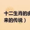 十二生肖的由来的传说和历史(十二生肖的由来的传说) 十二生肖的由来的传说和历史(十二生肖的由来的传说)