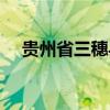 贵州省三穗县邮政编码（贵州省三穗县）