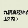 九阴真经锦衣卫内功还是外功（九阴真经锦衣卫2内）