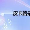 皮卡路是什么（皮卡路发型图片）