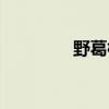 野葛根的药效（野葛根片）