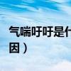 气喘吁吁是什么原因呢（气喘吁吁的是什么原因）