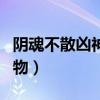阴魂不散凶神恶煞打一动物（凶神恶煞打一动物）