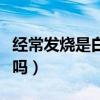 经常发烧是白血病吗女性（经常发烧是白血病吗）