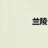 兰陵公主筒介（兰陵公主）
