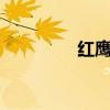 红鹰品牌（红鹰gm论坛）
