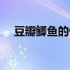 豆瓣鲫鱼的做法大全（豆瓣鲫鱼的做法）