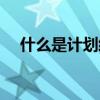 什么是计划经济体制（什么是计划经济）