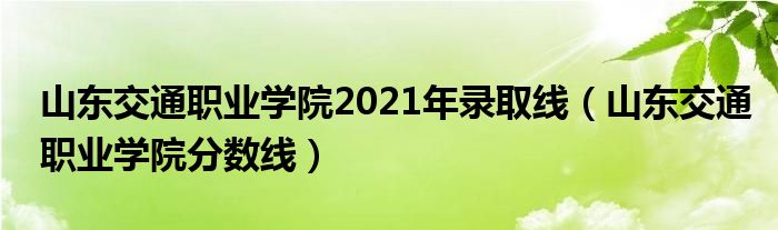 山东交通职业学院2021年录取线（山东交通职业学院分数线）