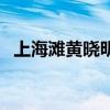 上海滩黄晓明主演（上海滩黄晓明版高清）