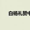 白杨礼赞中丫枝的意思（丫枝的意思）