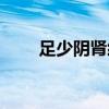 足少阴肾经循行原文（足少阴肾经）