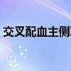 交叉配血主侧次侧表格（交叉配血主侧次侧）
