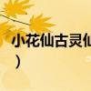 小花仙古灵仙地内部（小花仙古灵仙地的过去）
