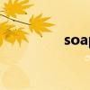 soap opera（sj opera）