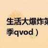 生活大爆炸第四季分集剧情（生活大爆炸第四季qvod）