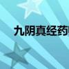 九阴真经药师等级划分（九阴真经药师）