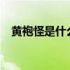 黄袍怪是什么变的?（黄袍怪是什么变的）