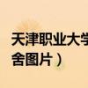 天津职业大学宿舍图片大全（天津职业大学宿舍图片）