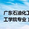 广东石油化工学院专业代码查询（广东石油化工学院专业）