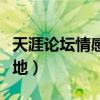 天涯论坛情感天地热帖汇总（天涯论坛情感天地）